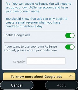 Jei srautas pakankamas, galite užsidirbti pinigų i&scaron; savo svetainės naudodami &bdquo;Google Adsense&ldquo;.